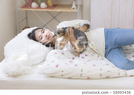 Girl relaxing in bed and Yorkshire Terrier 38993436