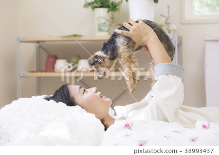 Girl and yorkshire terrier 38993437