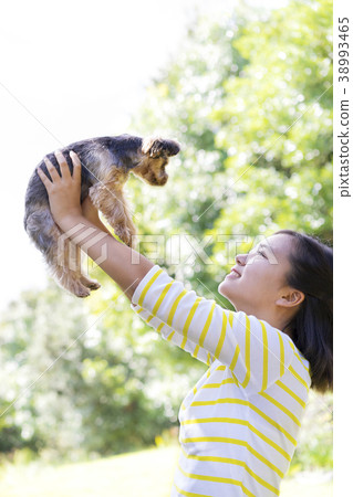 Girl and yorkshire terrier 38993465