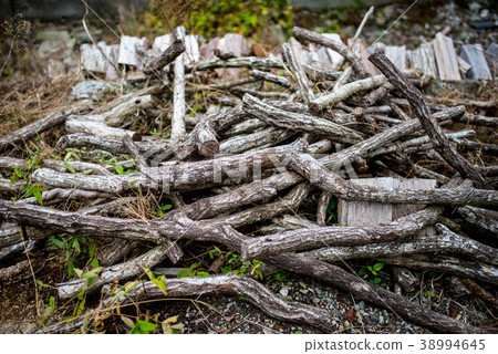 一棵砍樹 一棵砍樹 38994645