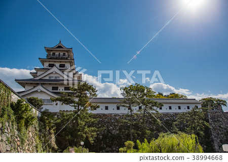 Ehime Prefecture Imabari Castle under the light 38994668