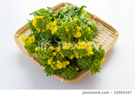 Vegetables of spring 38995487