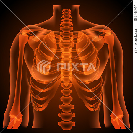 surgeon radiologist medical examaning lung  x-ray 38996744