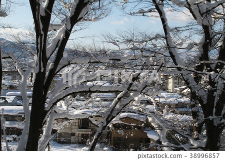 Snow scene of Tsuruga castle park Snow scene of Tsuruga castle park 38996857