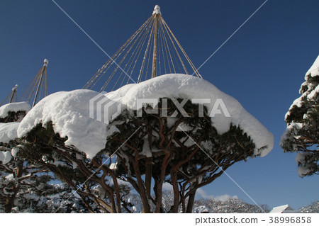 敦賀城堡公園雪場面 38996858