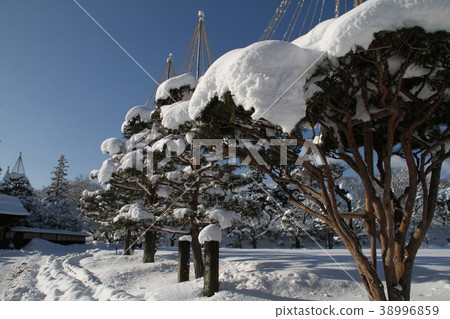 敦賀城堡公園雪場面 38996859