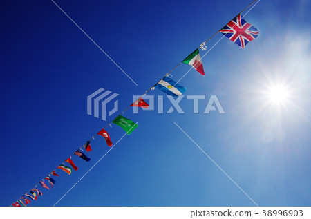 The national flag 38996903