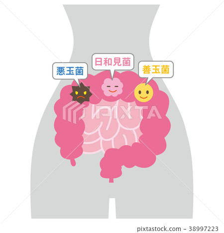 Enteric bacteria body gray - Stock Illustration [38997223] - PIXTA