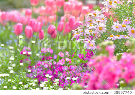 Colors of spring Colors of spring 38997740
