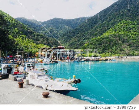 Powder bird forest fish port 38997759