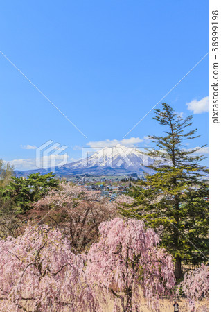 Landscape viewed from the castle tower of Hirosaki Castle after relocation 38999198