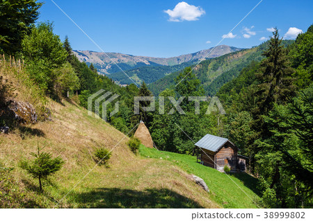 Small family farm 38999802