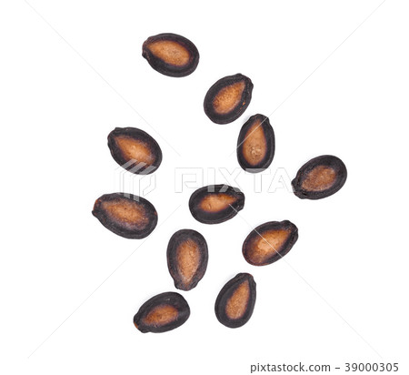 top view of dried watermelon seeds isolated top view of dried watermelon seeds isolated 39000305
