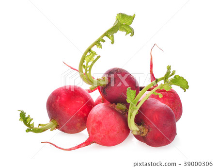 small red garden radish isolated on white small red garden radish isolated on white 39000306