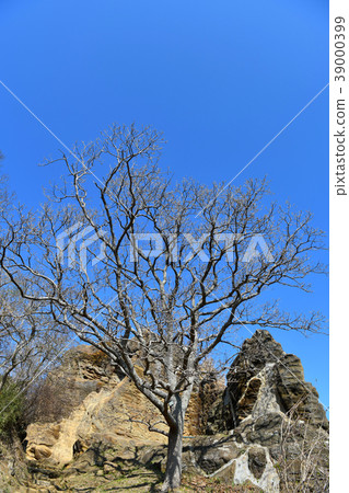 Takatori山公園風景 39000399