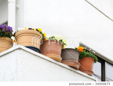 在遊廊的花盆 在遊廊的花盆 39000675