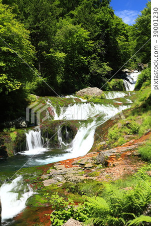 Nagano, Tateshina "Oshidori Hidden Waterfall" 39001230