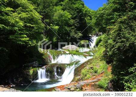 長野，Tateshina“Oshidori Hidden Waterfall” 39001232