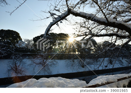 大雪的早晨 大雪的早晨 39001985