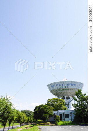 茨城 茨城 39003044