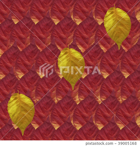 Background, Colorful Autumn Leaves 39005168