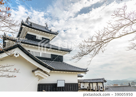  Shirakawa Komine城堡 39005950