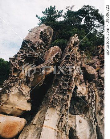 Landscape of strangely shaped rocks (Japan, Kochi Prefecture, Ryuho Coast) 39006222