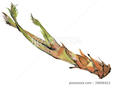 Watercolor ud 39006922