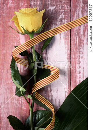 yellow rose and catalan flag 39007257