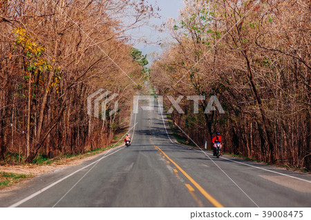 Highway road big tree along both side, warm light Highway road big tree along both side, warm light 39008475