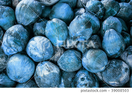 Group of Coconuts, coconuts for decoration Group of Coconuts, coconuts for decoration 39008503