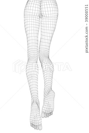 線框女性身體perming3DCG插圖素材 39008551