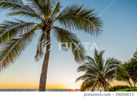 夏威夷的日落 夏威夷的日落 39008653