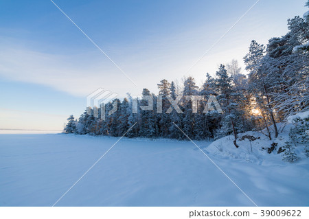 Frozen lake and snow covered forest 39009622