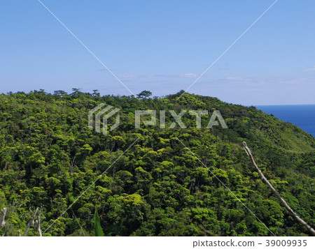 Yanbaru no Mori Yanbaru no Mori 39009935