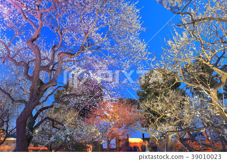 美圖的梅花節點亮了 39010023