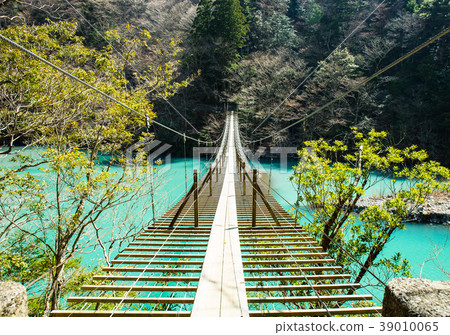 懸索橋的夢想 懸索橋的夢想 39010065