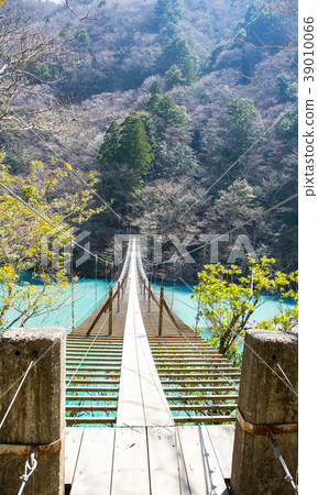 懸索橋的夢想 39010066