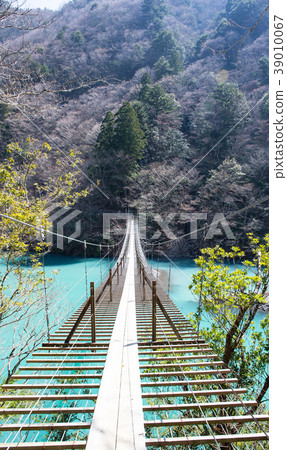 懸索橋的夢想 39010067