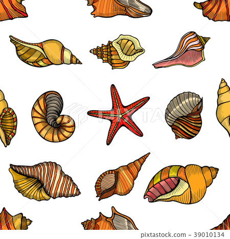 seamless pattern shells 39010134
