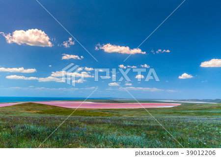 Pink lake in the steppe near the sea 39012206