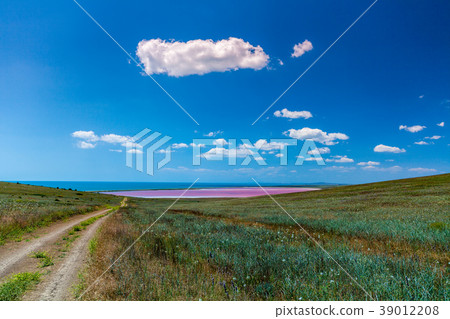 Road to the pink lake in the steppe near the sea Road to the pink lake in the steppe near the sea 39012208