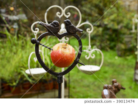 Metal bird feeder with apple in the shape of heart Metal bird feeder with apple in the shape of heart 39013474