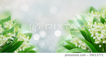 Lilly of valley Lilly of valley 39013772