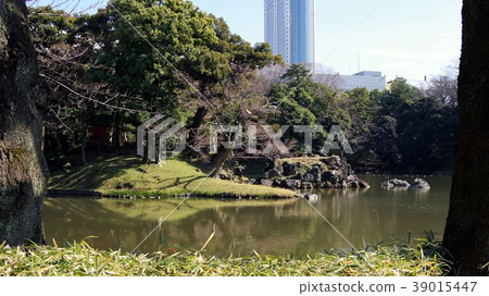 Pond at Koishikawa Korakuen 39015447