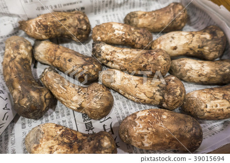 最好的松茸食用菌 最好的松茸食用菌 39015694