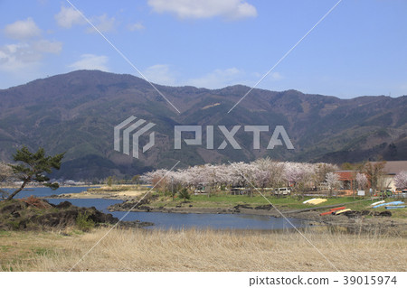 Spring fish and wand (Kawaguchiko) 39015974
