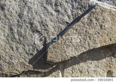 Rough rough skin 39016065