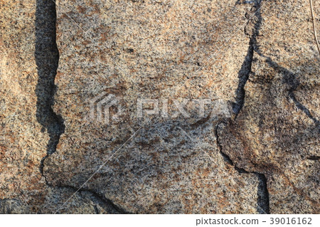 粗糙的皮膚 39016162