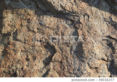 Rough rough skin Rough rough skin 39016237